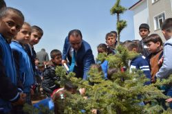 Tatvan’da ağaç dikimi yapıldı