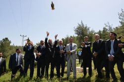 Adana’da doğaya 500 kınalı keklik bırakıldı