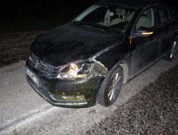 Otomobil koyun sürüsüne çarptı