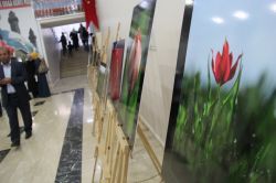 Muş’ta lale fotoğrafları sergisi