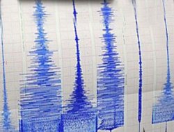 Papua Yeni Gine 7,1’le sallandı
