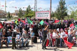 Midyat Acırlı kutlu doğum etkinliği 2015 video peygamber sevdalıları