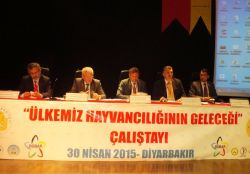 DÜ’de ‘Ülkemiz Hayvancılığının Geleceği’ çalıştayı