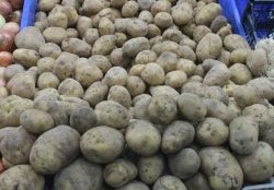 Van’da zam şampiyonu patates oldu