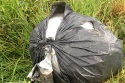 Diyarbakır’da 12 kilo esrar ele geçirildi