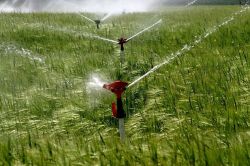 Şanlıurfa’da 2018’de 1 milyon hektar alan sulanacak