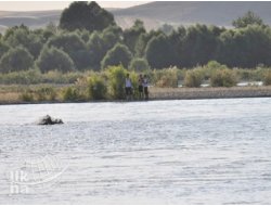 Batman Çayı'nda Mahsur Kalan 3 Kişi Kurtarıldı