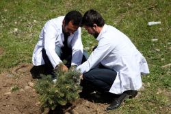 Üniversite öğrencileri engelliler için ağaç dikti