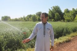 Çiftçiler bu yıl mahsülden umutlu foto video