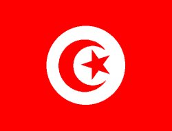 Tunus'ta Sokağa Çıkma Yasağı