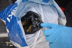 Mardin’de uyuşturucu baskınları