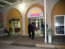 Atlara çarpmamak için direksiyonu kırınca kaza yaptı:2'si ağır 5 yaralı