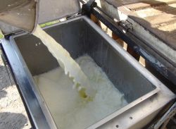 Mart ayında süt üretimi arttı