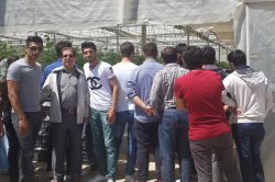 Bismil’deki sera çiftçilerine akademik destek