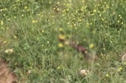 Gaziantep’te kesilmiş insan bacağı bulundu