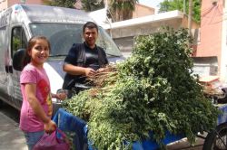 Yeşil nohut’u en çok öğrenciler tüketiyor foto video
