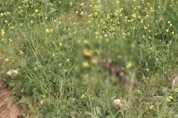 Gaziantep’te bulunan kesik bacak, Suriyeli bir kadına ait