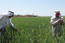 Çiftçilerin sıkıntıları bitmiyor