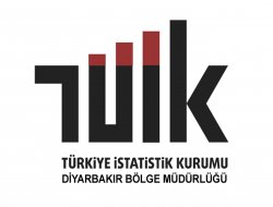 Diyarbakır’da Mart ayında araç sayısı arttı