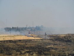 Mardin’in Nusaybin'nde mayınlı arazide yangın