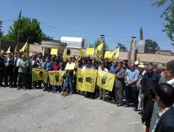 “Darbe ve idamlar İsrail’in çıkarları içindir”