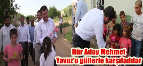 Hür Aday Mehmet Yavuz'u güllerle karşıladılar