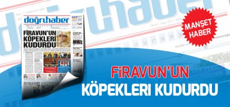 Firavun'un köpekleri kudurdu