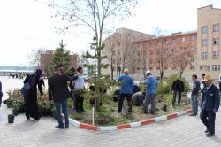 Ağrı’da üniversite öğrenciler gül ekti
