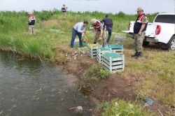 Diyarbakır’da kurbağa kaçakçılarına baskın