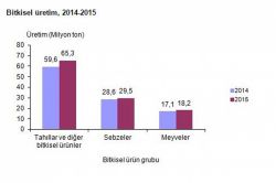 Bu yıl bitkisel üretimde artış olacağı tahmin ediliyor