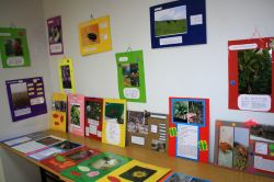 DÜ’de ‘Doğu ve Güneydoğu’da Biyoçeşitlilik’ sergisi açıldı