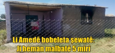 Li Amedê bobeleta şewatê: Ji heman malbatê 5 mirî