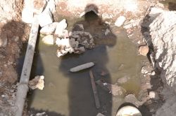 Şanlıurfa Viranşehir'de Kanalizasyon suyu şebeke suyuna karıştı