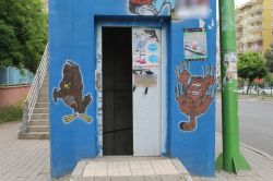 Diyarbakır’da üstgeçit asansörü tehlikeye davetiye çıkarıyor video