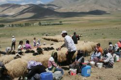 Göçerler yaylalara yerleşti