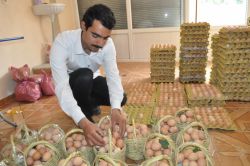 Batman’da üniversite mezunu seyyar satıcılık yapıyor video