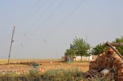 Elektrik kıvılcımları çiftçileri korkuttu