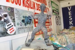 Van'da İnşaat Yapı ve İş Makineleri Fuarı açıldı