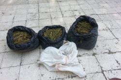 Batman’da 16 kilogram kubar esrar ele geçirildi