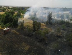 Et ve Balık Kurumu’nun bahçesi yandı