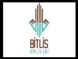 Dağa kız çıkarmaya çalışılan 2 PKK’lı tutuklandı