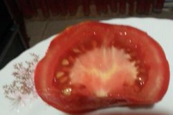 Domatesteki Allah lafzı -foto