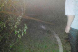 Fırtına tarım alanlarına zarar verdi, elektrik telleri devrildi-foto