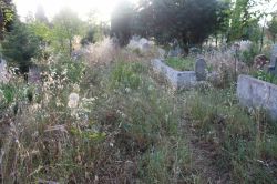 Yeni mahalle mezarlığı ilgi bekliyor