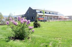 AİÇÜ'de 7 yılda 70 bin ağaç dikildi