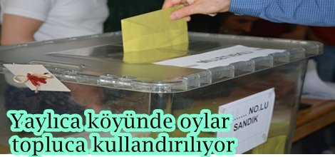 Yaylıca köyünde oylar topluca kullandırılıyor