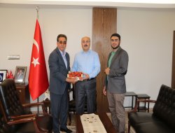 Bingöl’de organik çilek hadadı başladı