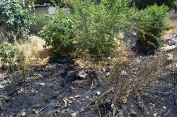 Büyük faciadan dönüldü