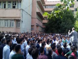 Hezkirîyên, Seyda yê Yasîn Boru tenê nehiştin