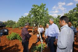 'Hedefimiz yıllık 100 bin ton Antep fıstığı üretmek'